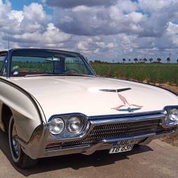 Ford / USA Thunderbird