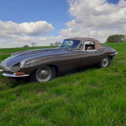 Jaguar E-Type Typ 1/2