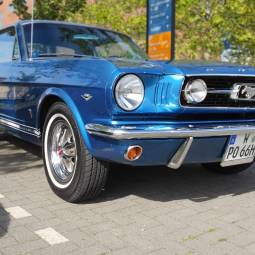 Ford / USA Mustang