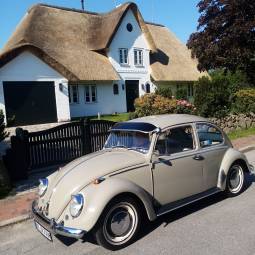 VW Käfer 1300