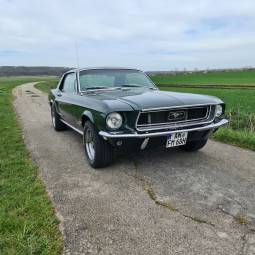 Ford / USA Mustang