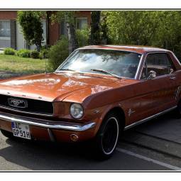 Ford / USA Mustang Fastback