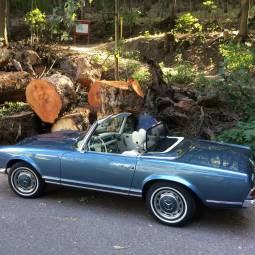 Mercedes-Benz 280 SL (W 113)